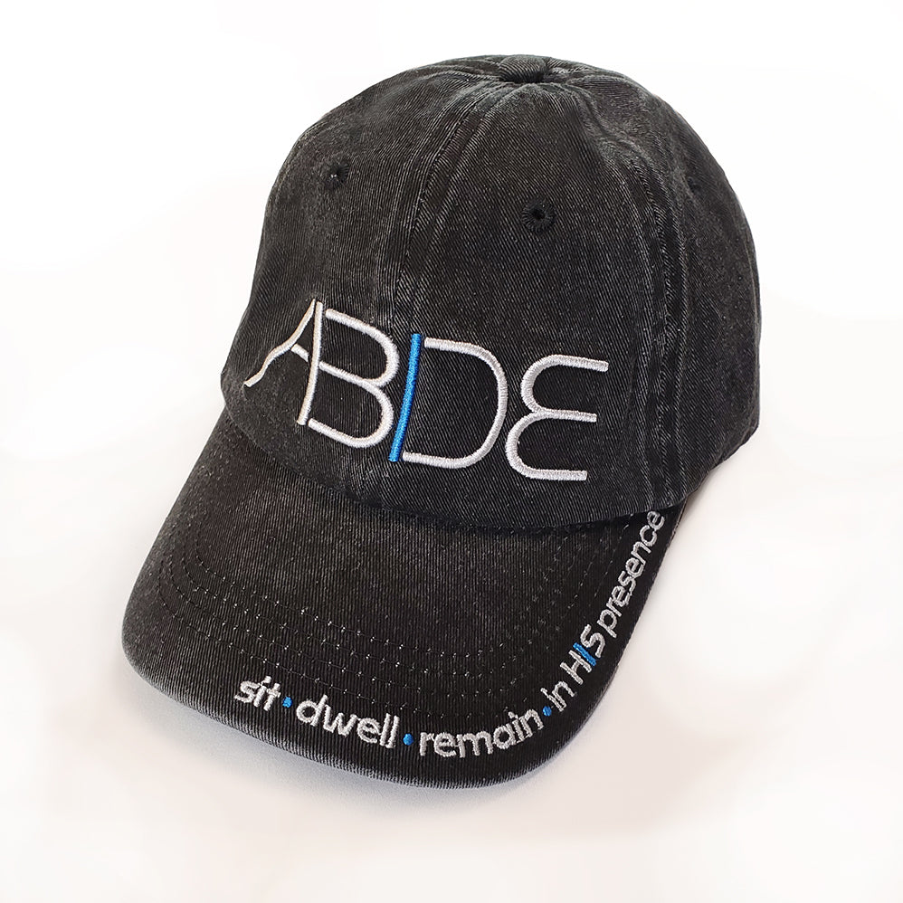 Brisket ABIDE Dad Hat
